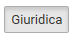 1. Pulsante Giuridica