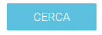 4. Cerca nei dati