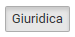 1. Pulsante Giuridica